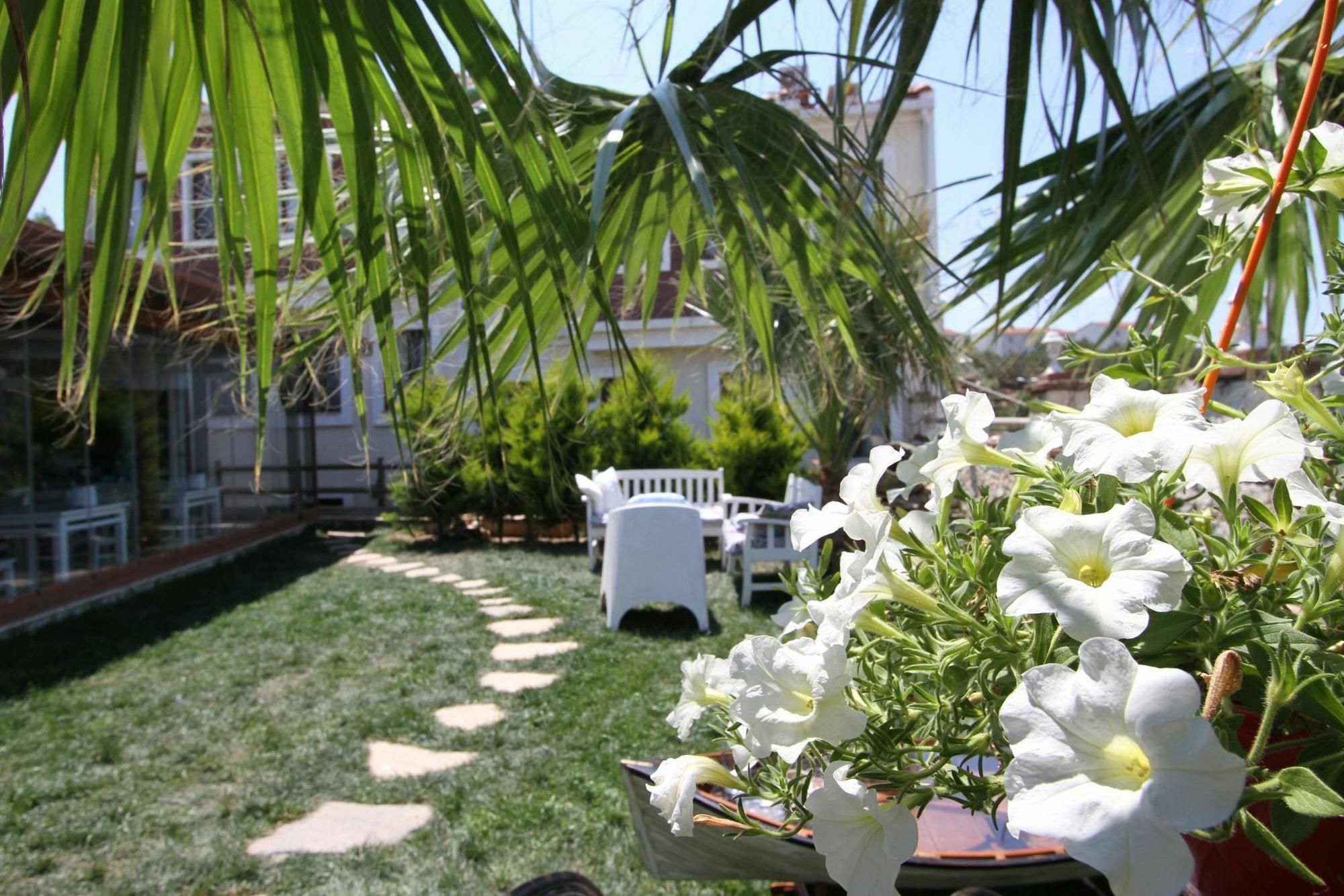 Destina Hotel Bozcaada Extérieur photo